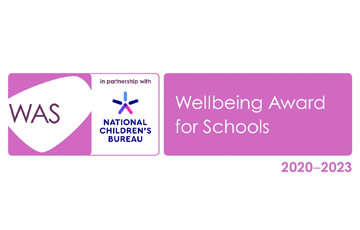 Well Being Award Logo